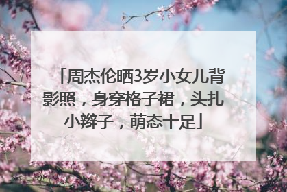 周杰伦晒3岁小女儿背影照，身穿格子裙，头扎小辫子，萌态十足